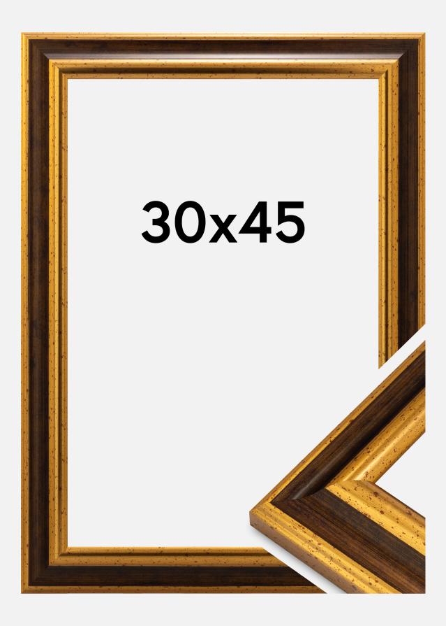 Ram Aberystwyth Akrylglas Guld 30x45 cm