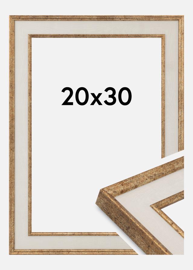 Ram Dolly Akrylglas Guld 20x30 cm