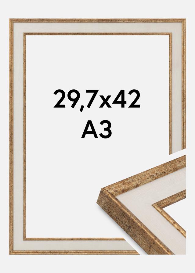 Ram Dolly Akrylglas Guld 29.7x42 cm (A3)