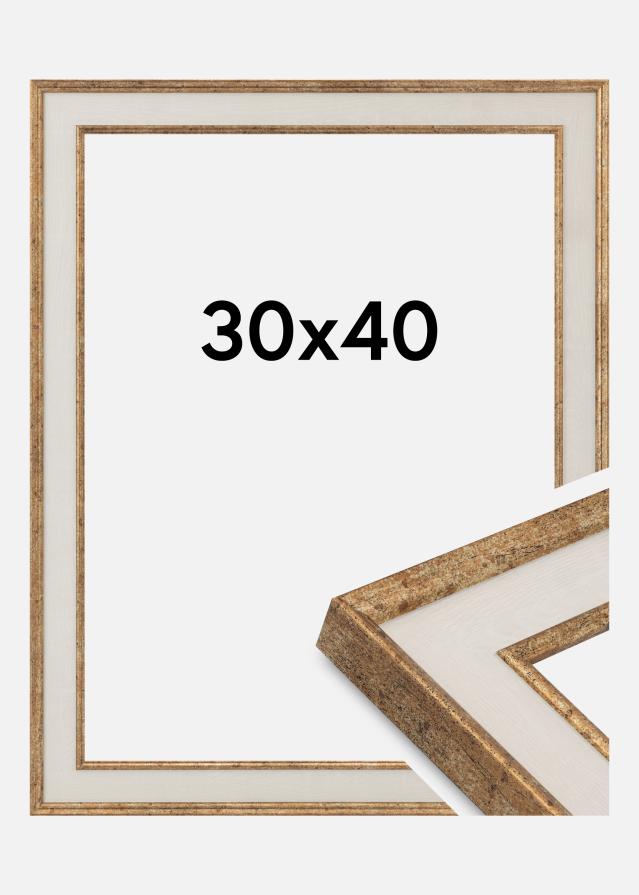 Ram Dolly Akrylglas Guld 30x40 cm