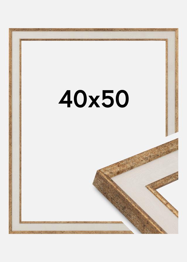 Ram Dolly Akrylglas Guld 40x50 cm