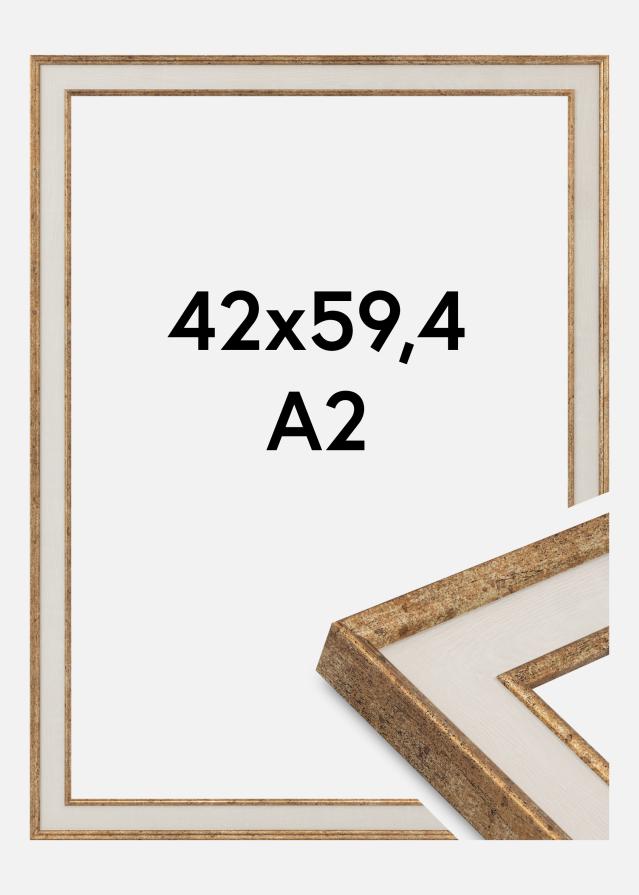 Ram Dolly Akrylglas Guld 42x59.4 cm (A2)