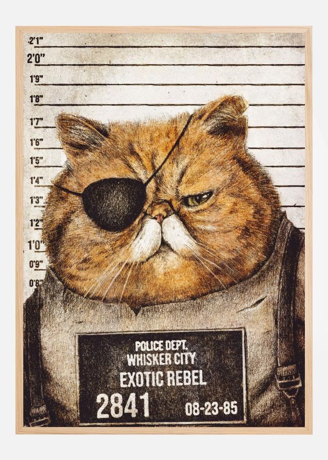 Funny Cat Poster