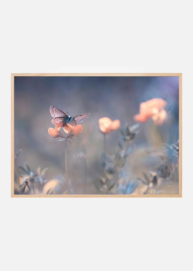 The Lady of Lothlorien Poster