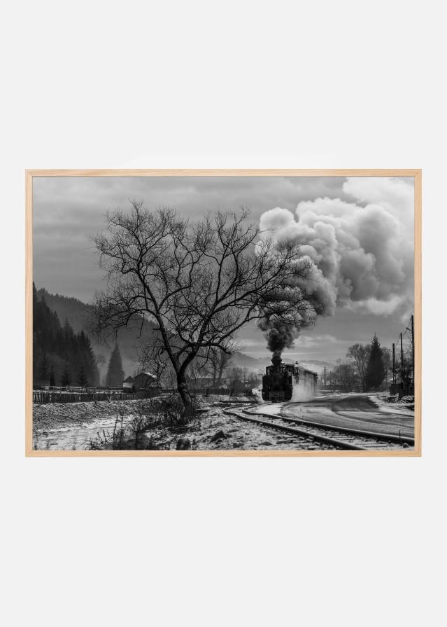 Mocanita Hutulca Poster