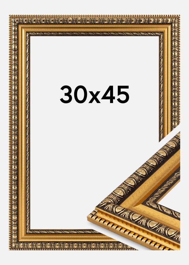 Ram Ornato Akrylglas Guld 30x45 cm