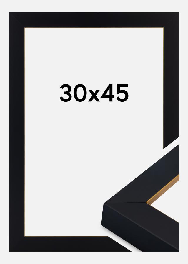 Ram Sussex Akrylglas Svart/Guld 30x45 cm