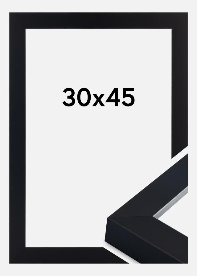 Ram Sussex Akrylglas Svart/Silver 30x45 cm