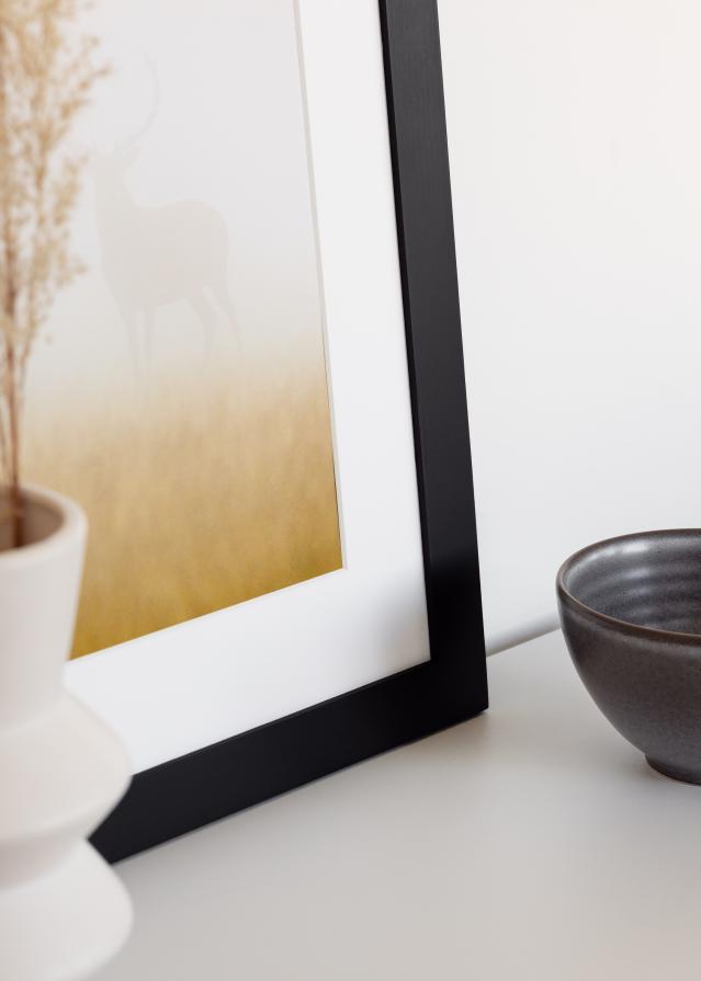 BGA Select Wide Akrylglas Svart 42x59,4 cm (A2)