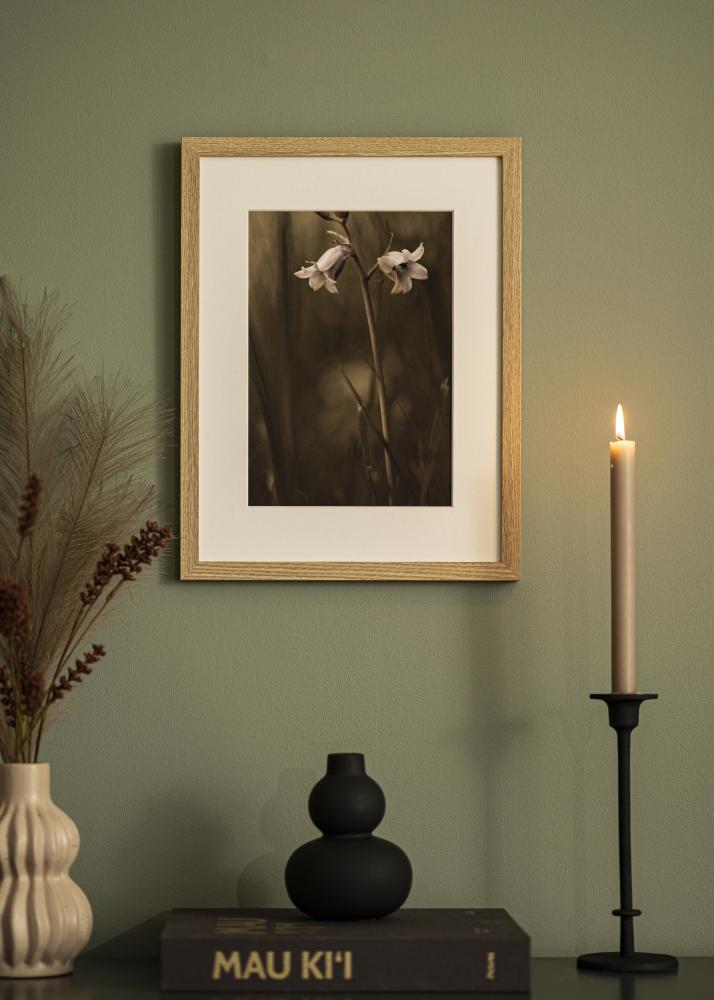 Ram Selection Akrylglas Ek 50x93 cm