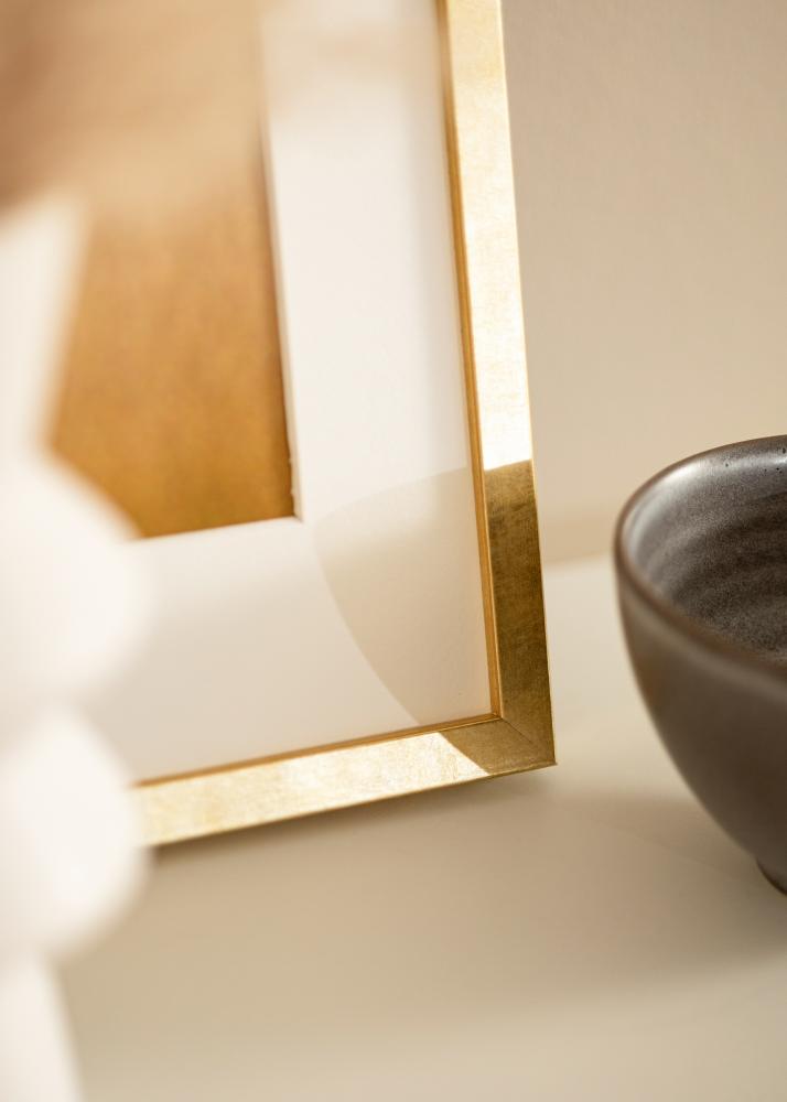 Ram Ares Guld 24x30 cm - Passepartout Vit 18x24 cm