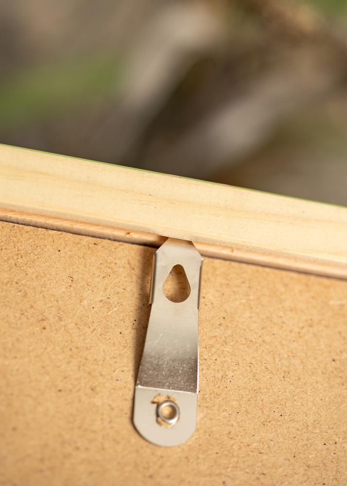 Ram Diana Ljusgrön 50x60 cm - Passepartout Vit 40x50 cm