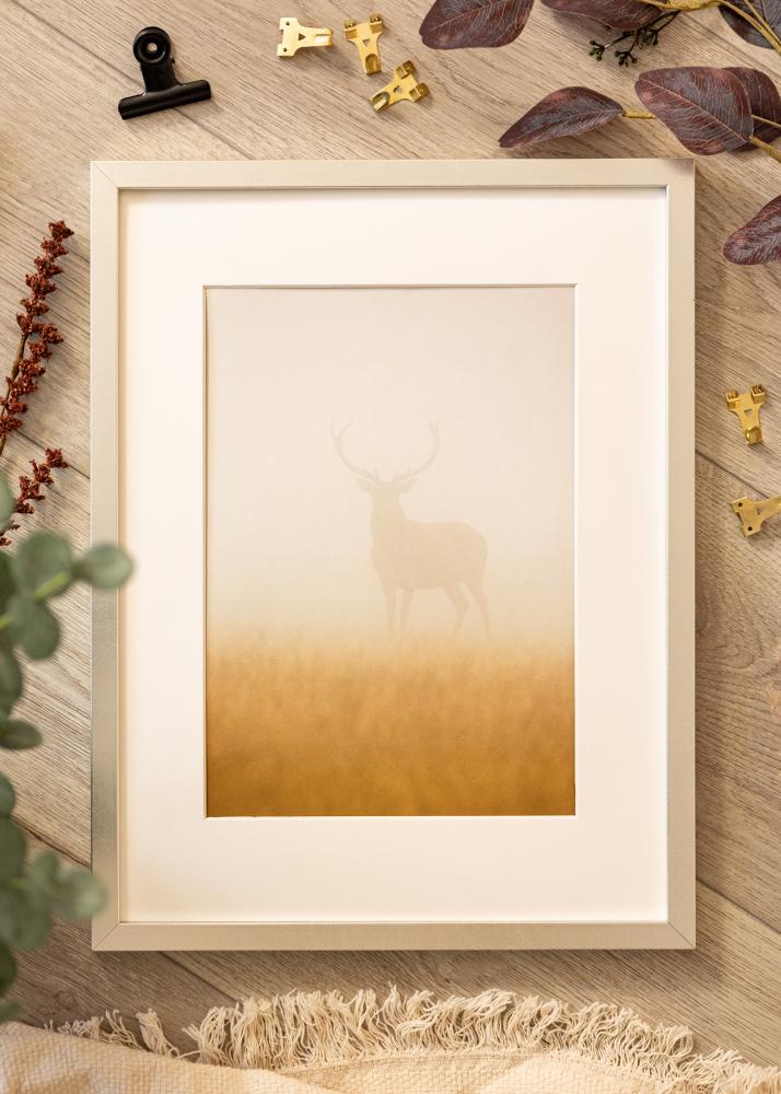 Ram Minerva Silver 30x40 cm - Passepartout Vit 20x30 cm