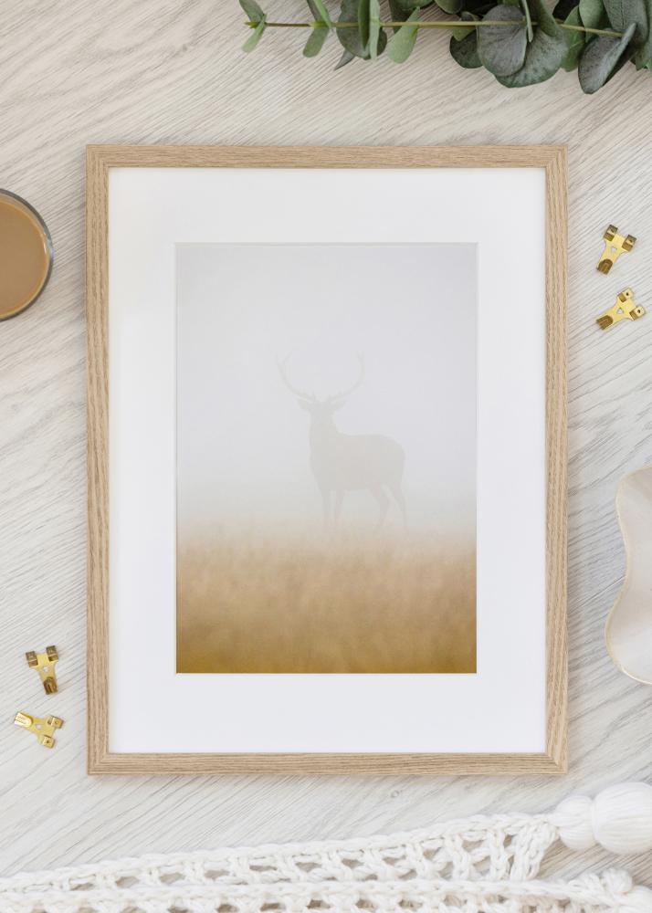 Ram Trendy Akrylglas Ek 48x64 cm