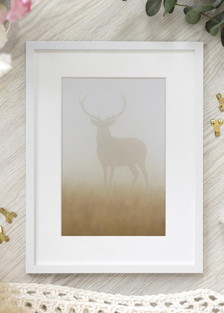 Ram Trendy Akrylglas Vit 42x59,4 cm (A2)