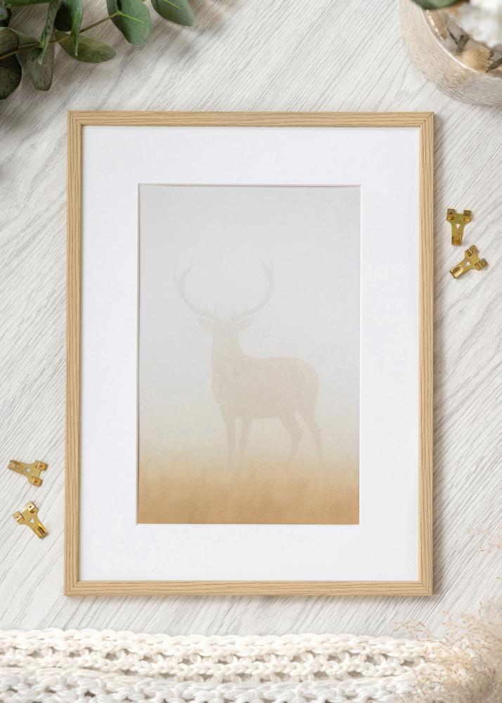 Ram Galant Akrylglas Ek 29,7x42 cm (A3)