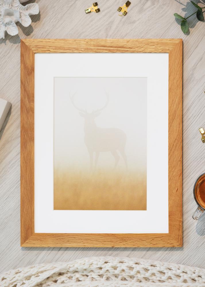 BGA Select Wide Akrylglas Ek 59,4x84,1 cm (A1)