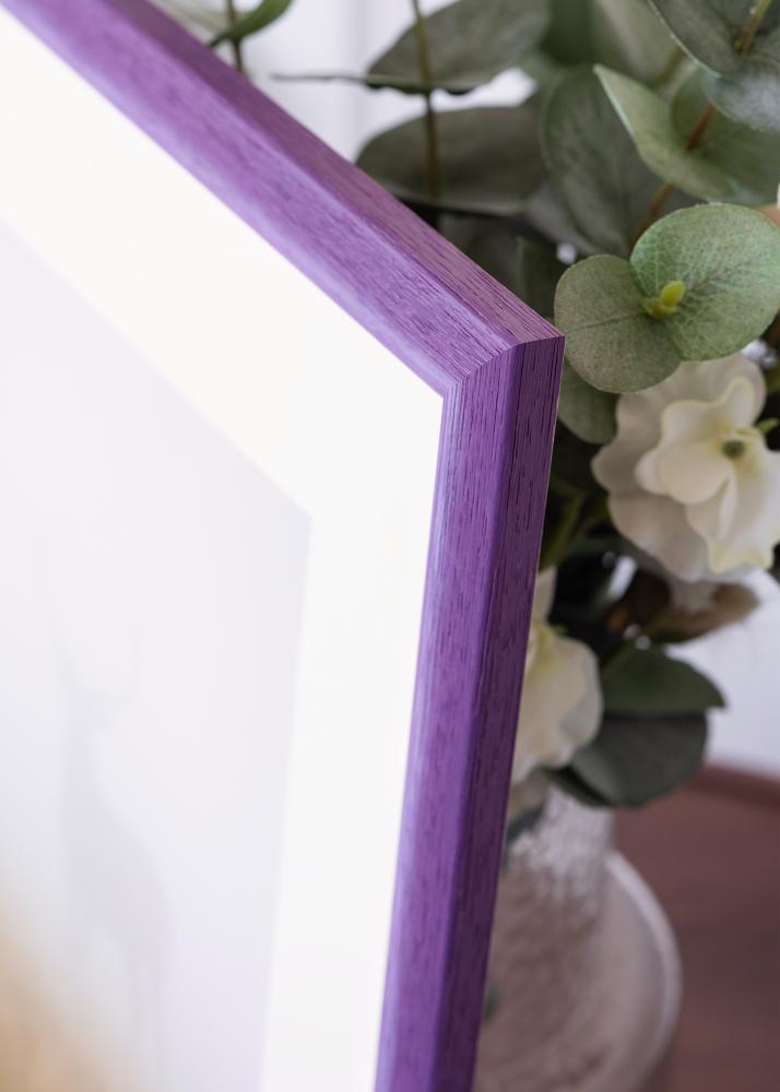 Ram Cornwall Akrylglas Lila 40x50 cm