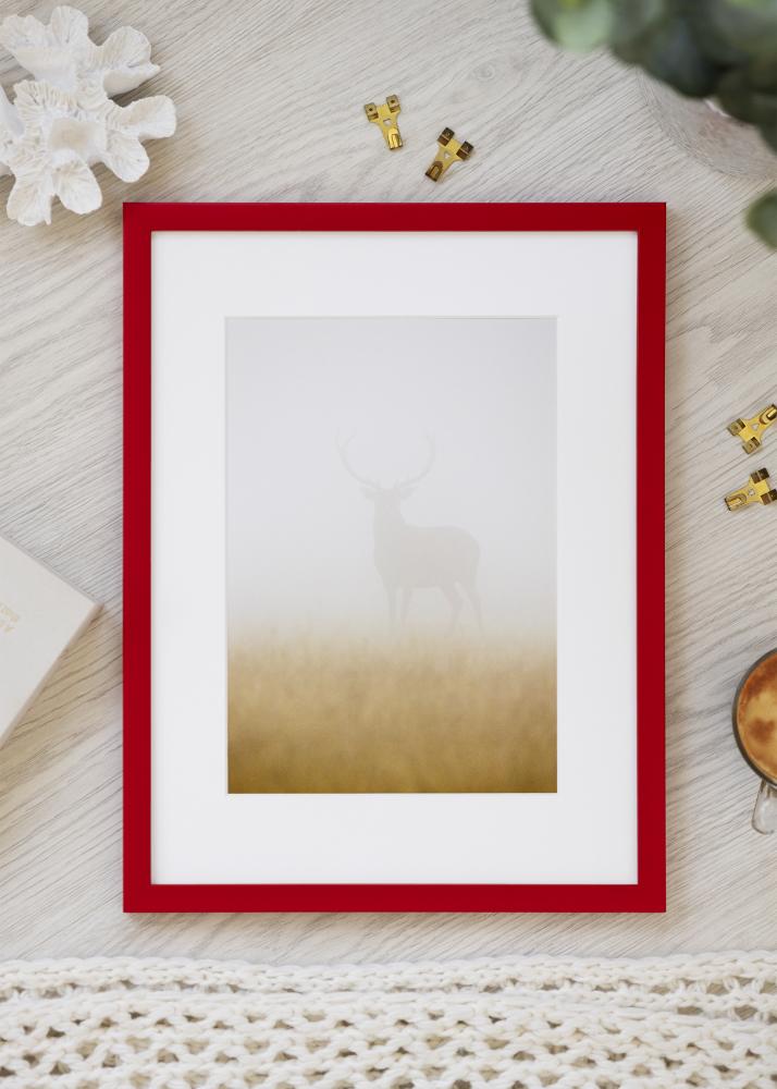 Ram Kent Akrylglas Röd 29.7x42 cm (A3)