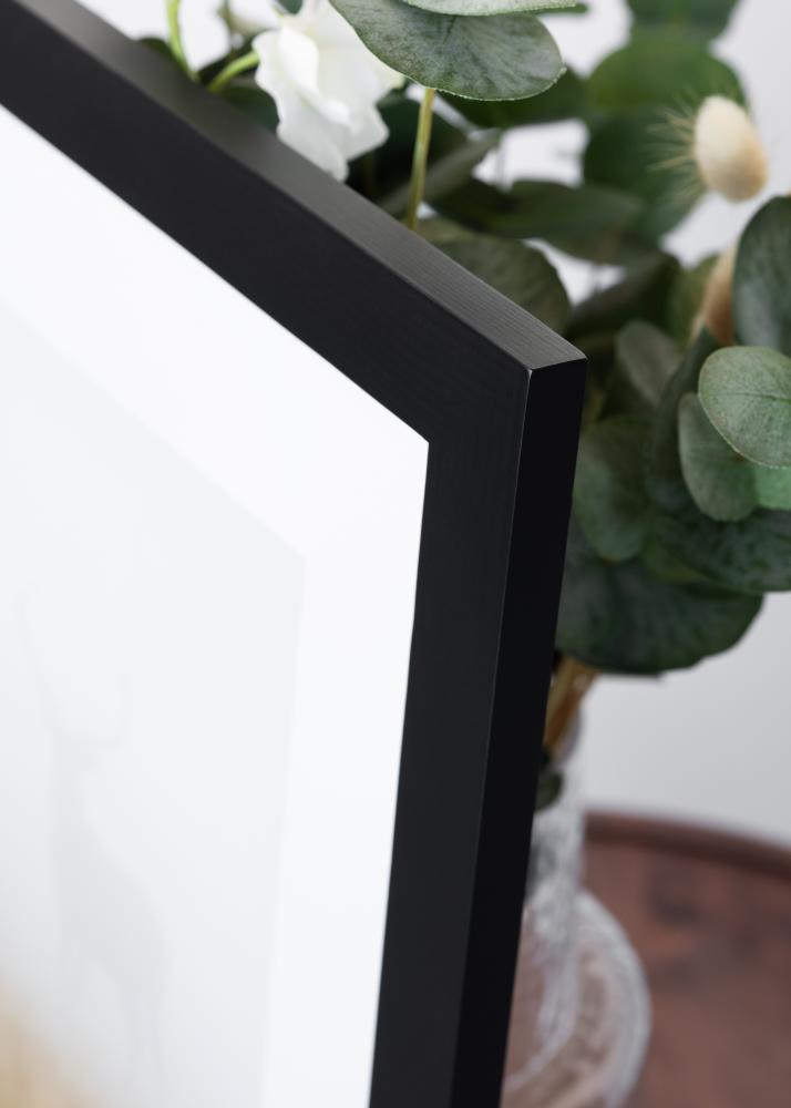 BGA Select Wide Akrylglas Svart 59,4x84,1 cm (A1)