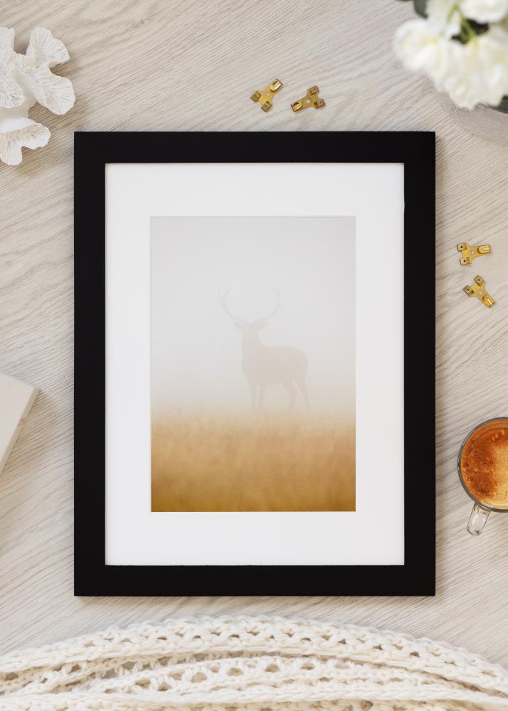 BGA Select Wide Akrylglas Svart 59,4x84,1 cm (A1)