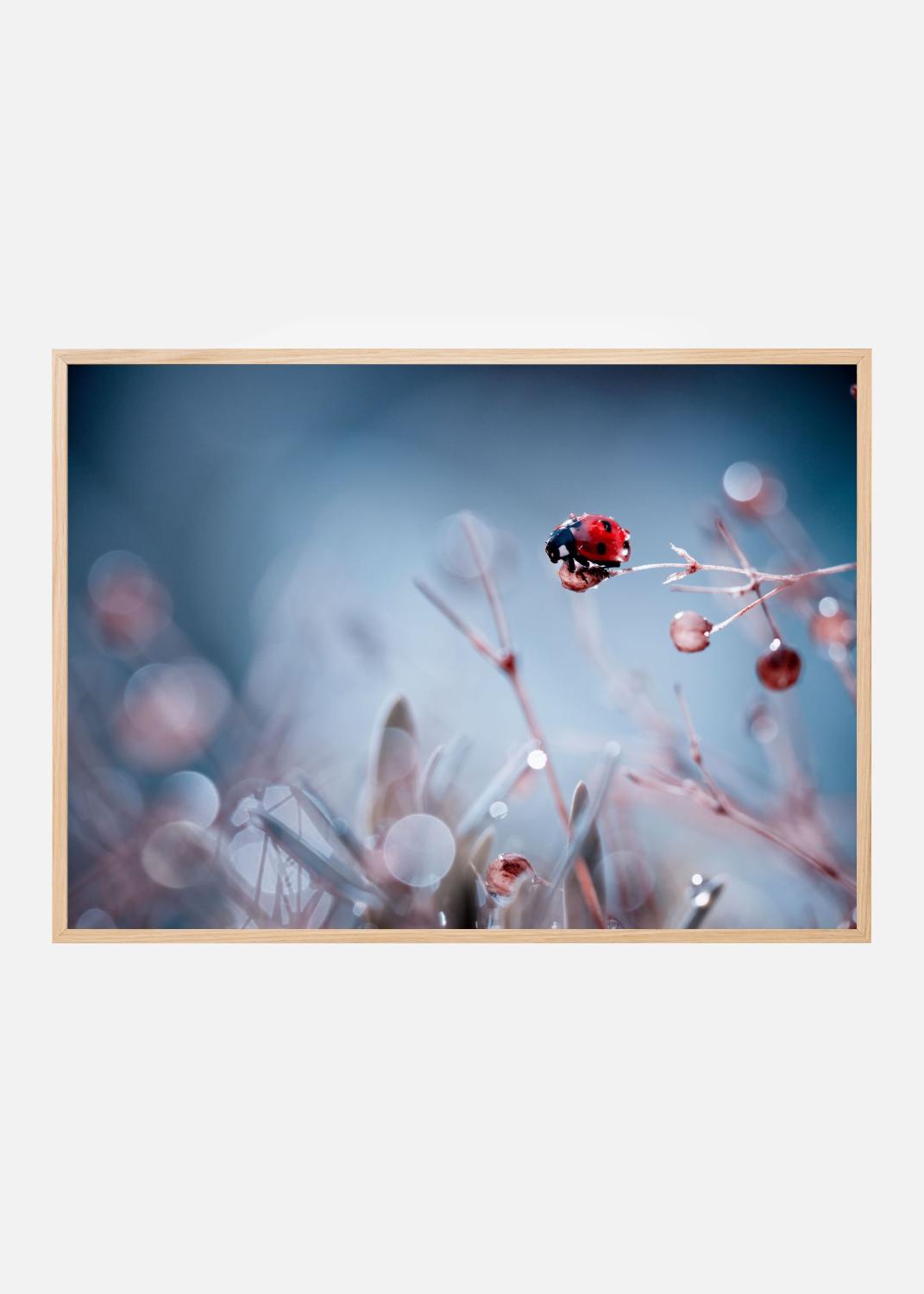 Product Image for High Diving Poster (50x70 cm)