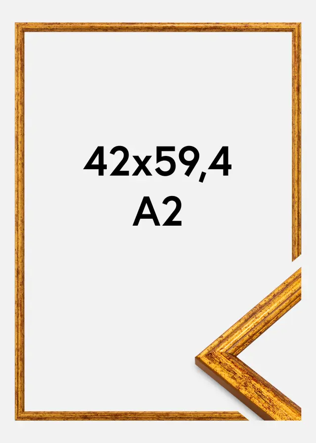 Ram Claudia Akrylglas Guld 42x59,4 cm (A2)