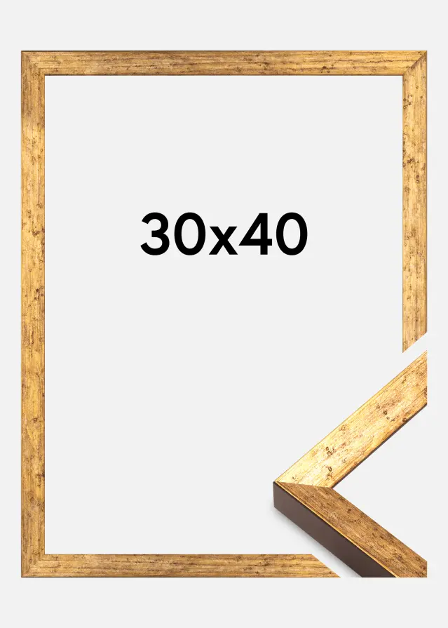 Ram Dune Akrylglas Guld 30x40 cm