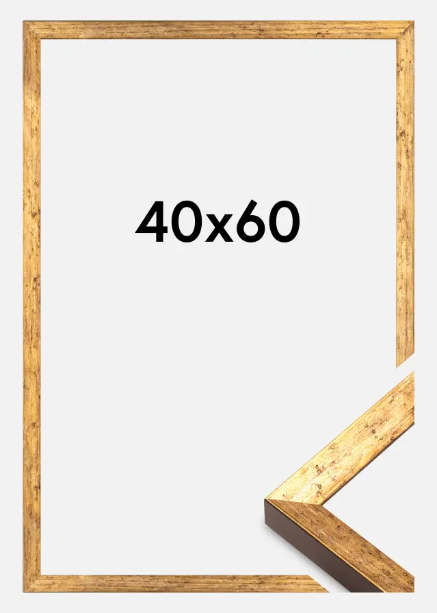 Ram Dune Akrylglas Guld 40x60 cm