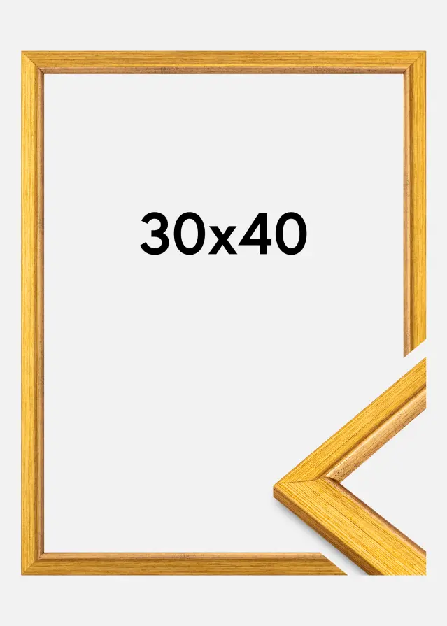 Ram Marisa Akrylglas Guld 30x40 cm