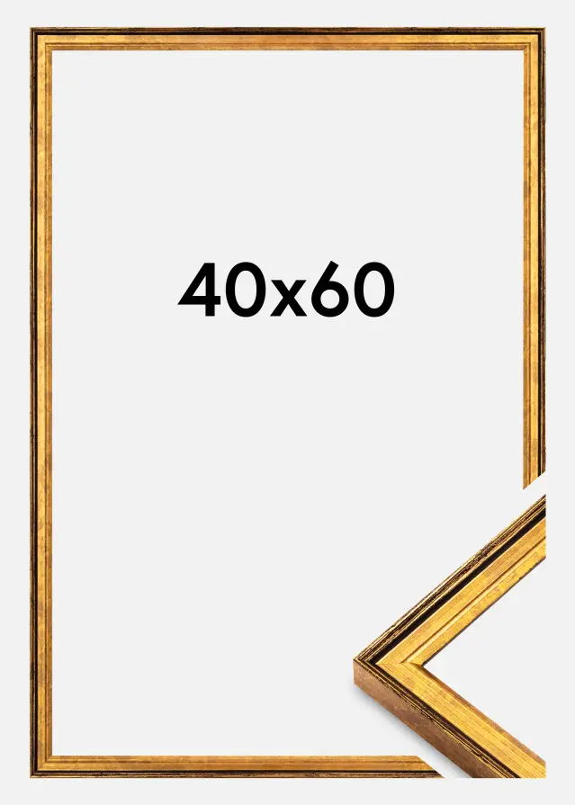 Ram Ringa Akrylglas Guld 40x60 cm