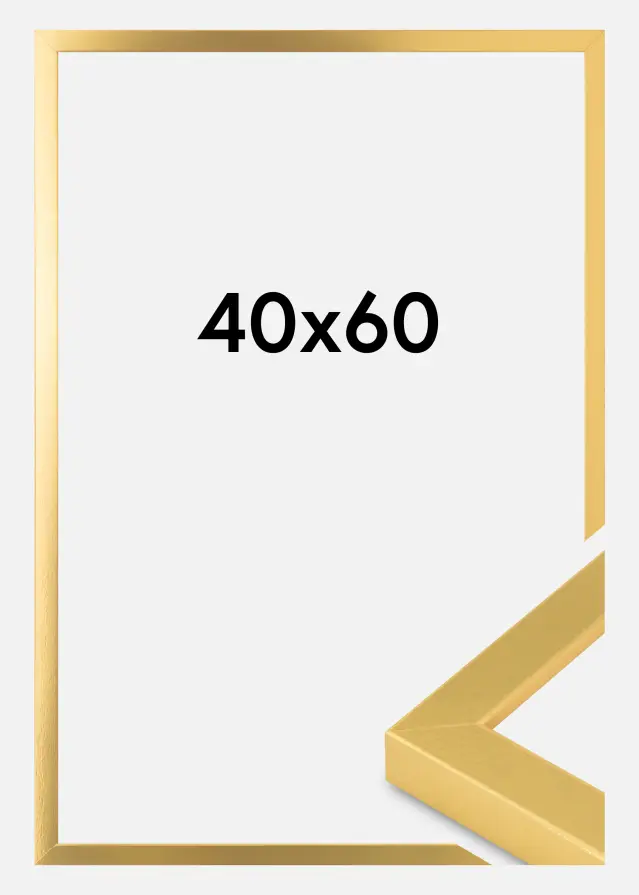 Tavelram Guld Bred 40 x 60 cm