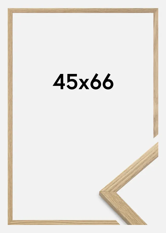 Ram Trendy Akrylglas Ek 45x66 cm