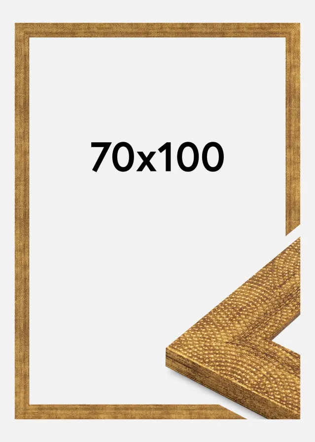 Ram Linea Akrylglas Guld 70x100 cm