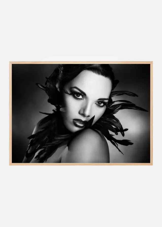 The black feathers Poster