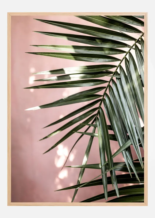 Palm Leaves Poster