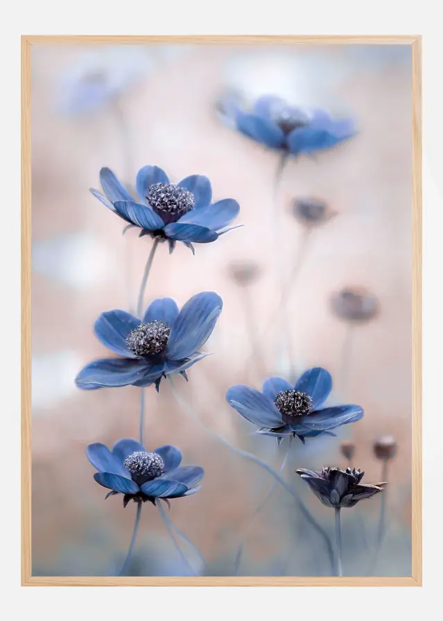 Cosmos blue Poster