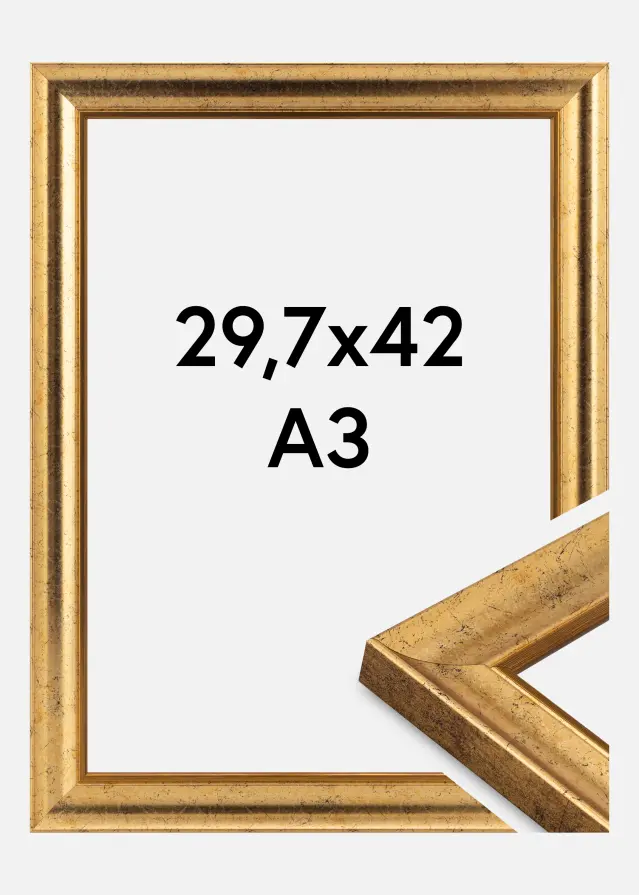 Ram Conca Akrylglas Guld 29.7x42 cm (A3)