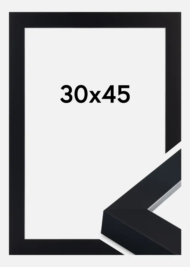 Ram Sussex Akrylglas Svart/Silver 30x45 cm