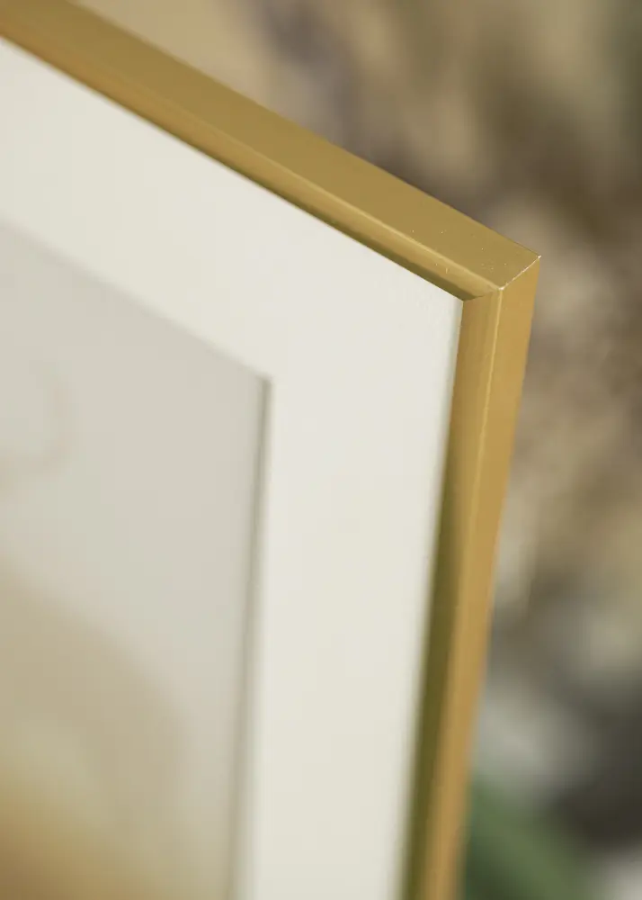 Ram New Lifestyle Guld 60x90 cm - Passepartout Vit 50x80 cm