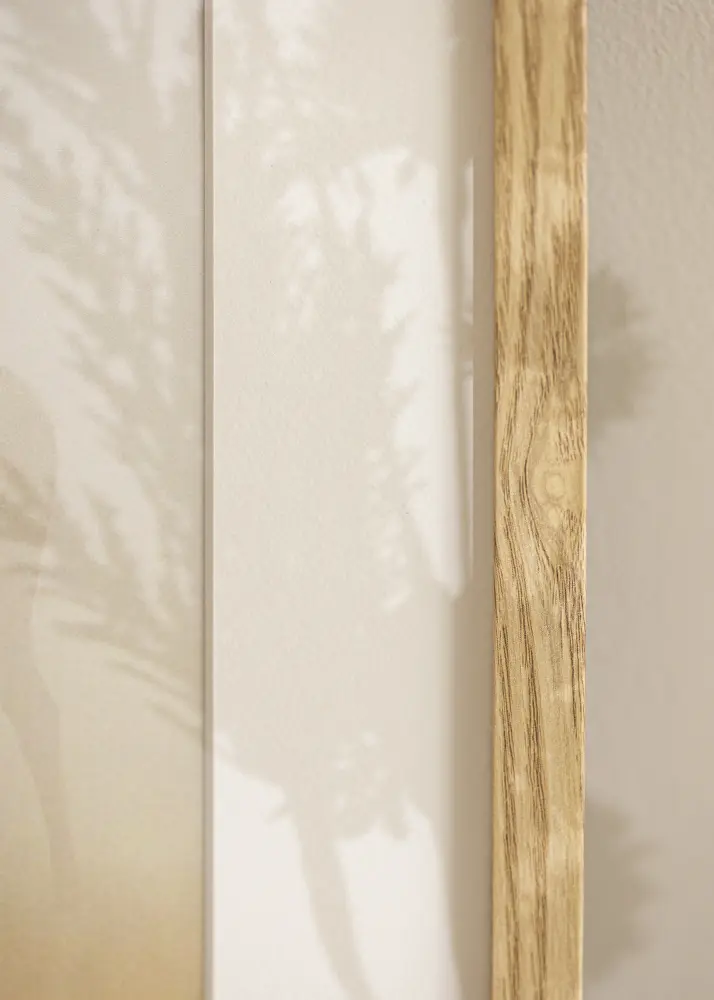 Ram Trendy Akrylglas Ek 33x48 cm