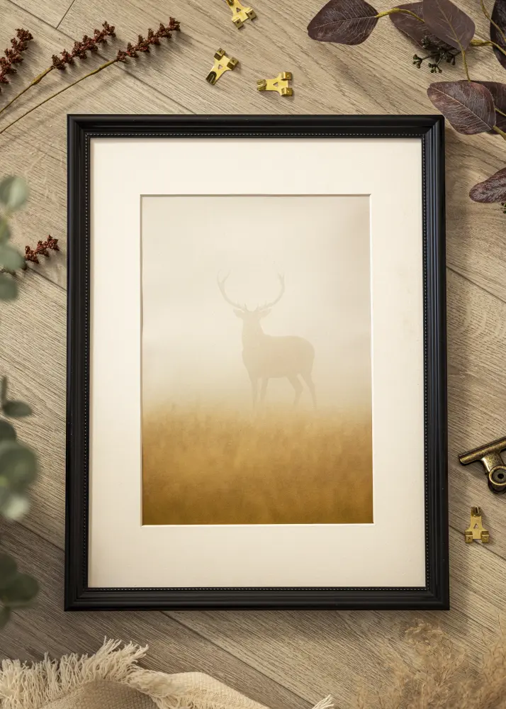 Ram Gala Svart 40x50 cm - Passepartout Vit 30x38 cm