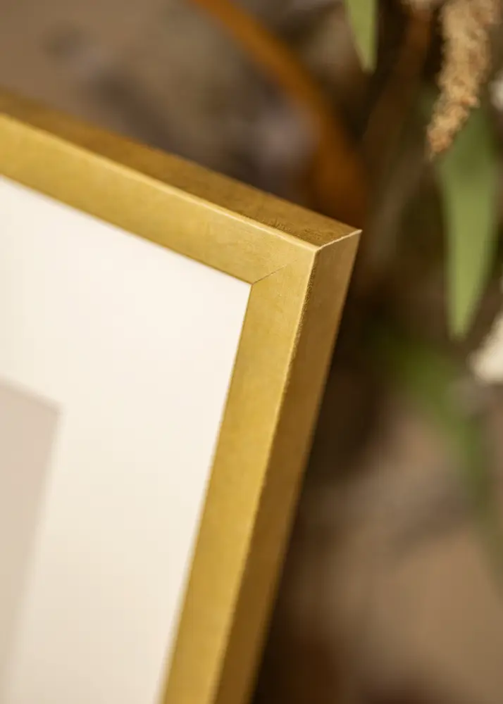Ram Ares Guld 42x59,4 cm - Passepartout Vit 25x38 cm