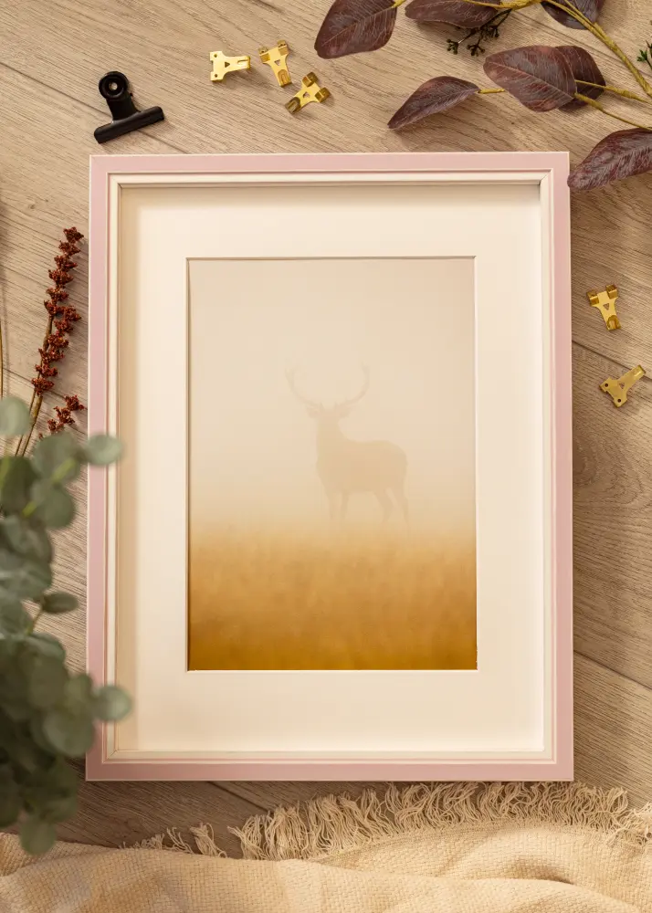 Ram Diana Rosa 59,4x84 cm - Passepartout Vit 47x75 cm