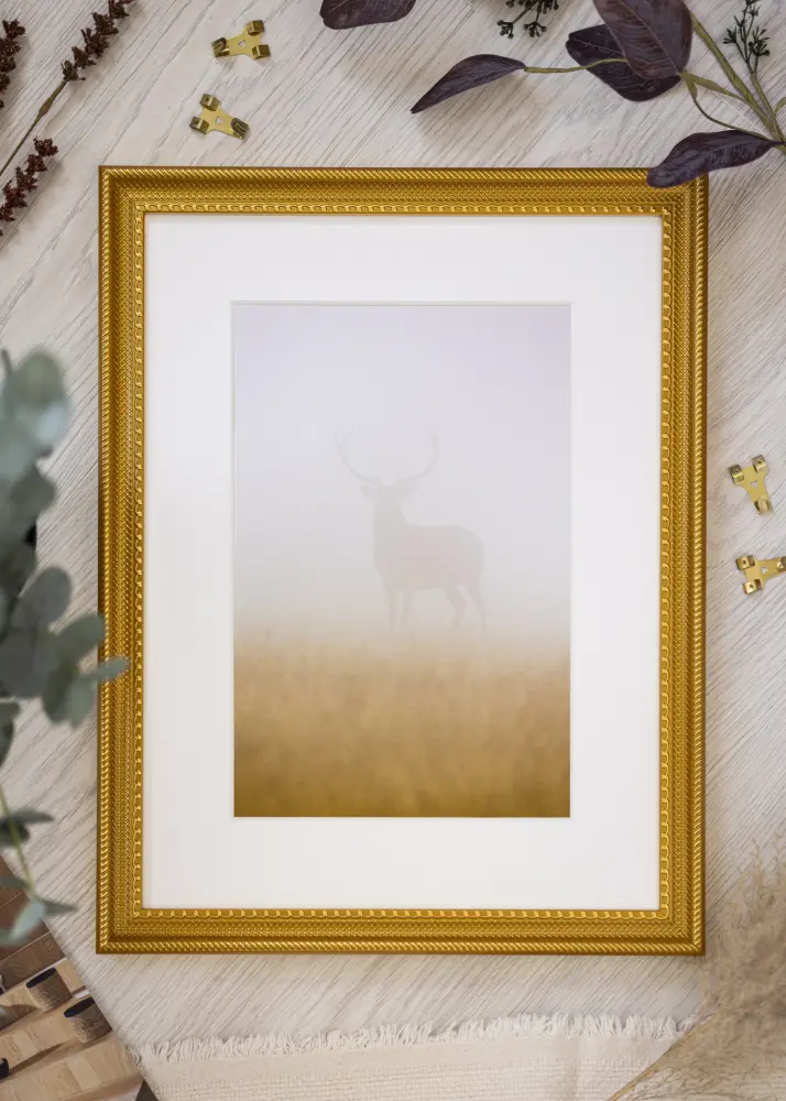 Ram Lattice Guld 30x40 cm - Passepartout Vit 21x29,7 cm