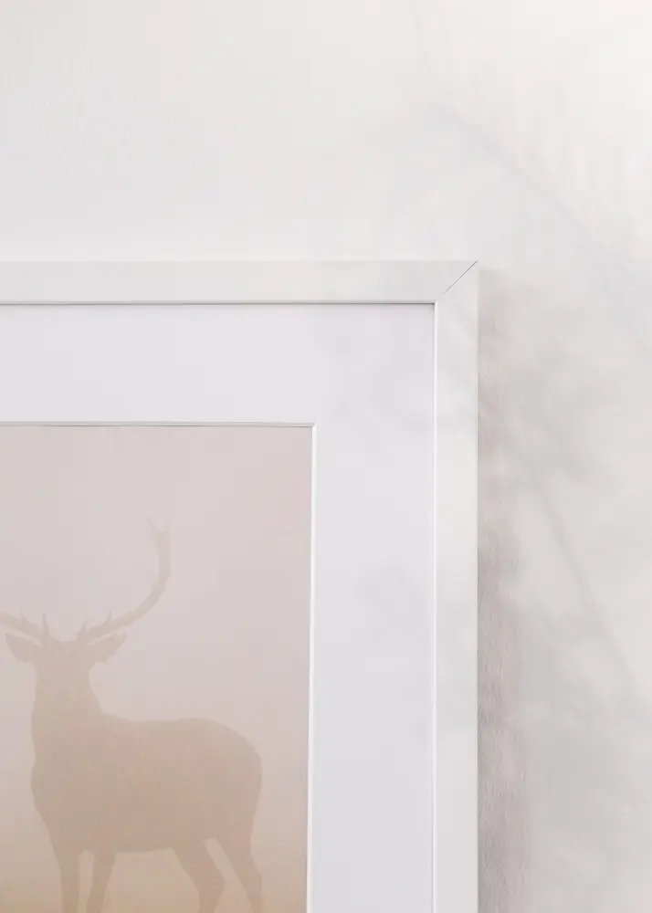 Ram Brooke Akrylglas Vit 59,4x84,1 cm (A1)