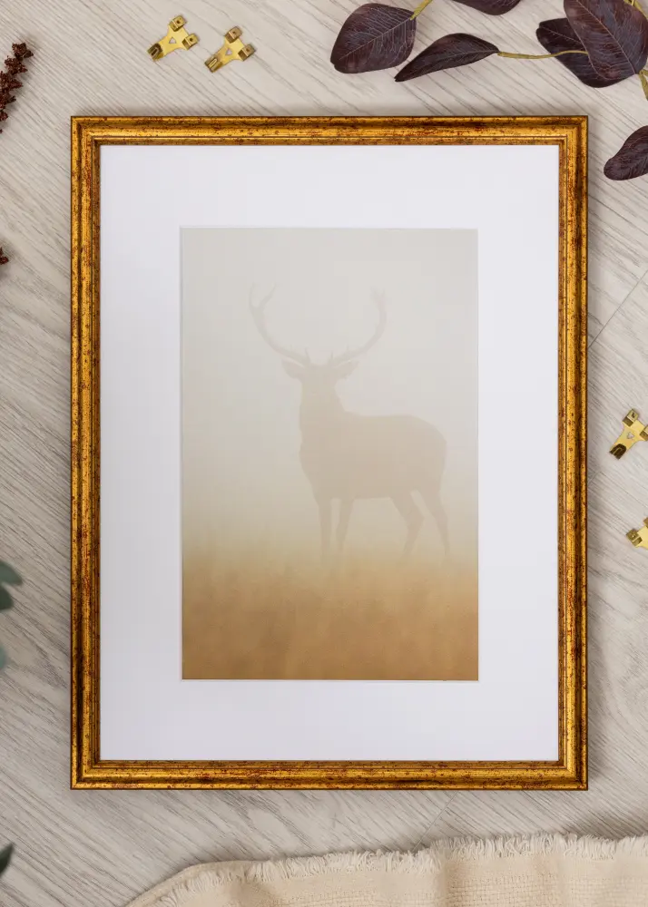 Ram Claudia Akrylglas Guld 21x29,7 cm (A4)