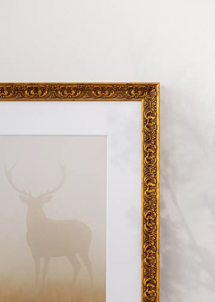 Ram Amber Akrylglas Guld 21x29,7 cm (A4)