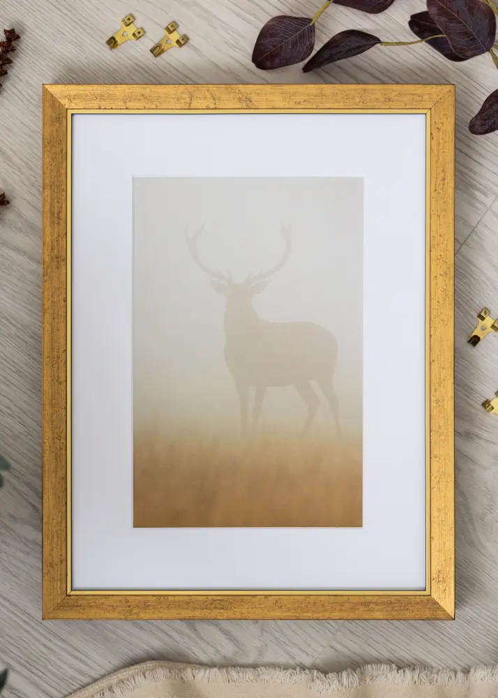 Ram Brema Akrylglas Guld 21x29,7 cm (A4)