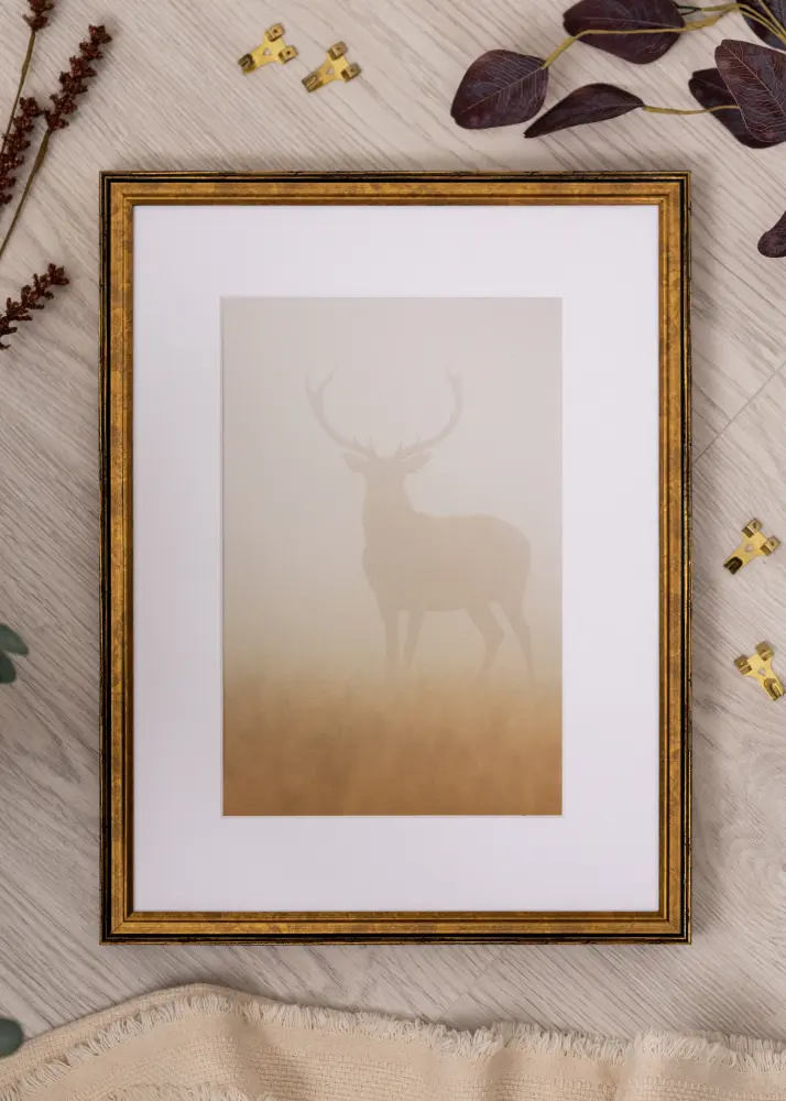 Ram Ringa Akrylglas Guld 59,4x84,1 cm (A1)